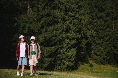 İki genç izci verimli bir ormanda yürüyüş yapıyor, yaz tatillerinin tadını çıkarıyor ve doğayı keşfediyorlar.
