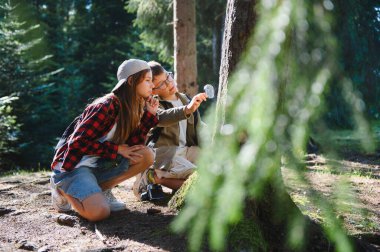 İki genç kaşif, bir erkek ve bir kız, güneşli bir günde bir ağacın kabuğunu incelemek için bir büyüteçle ormanda çömeliyorlar.