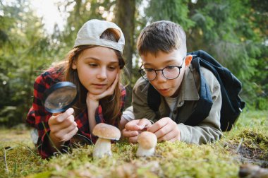 İki meraklı çocuk, yemyeşil bir ormanda keşif gezisi sırasında büyüteçle mantar gözlemliyor.