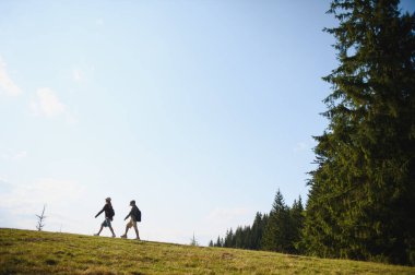 İki turist, yemyeşil yemyeşil ve açık mavi gökyüzü ile çevrili güneşli bir günde bir dağ çayırında manzaralı bir yürüyüş yapıyorlar.