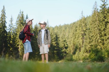 İki genç izci yemyeşil bir ormanda yürüyüş yapıyor, takım çalışmasını teşvik ediyor ve doğayı takdir ediyorlar.
