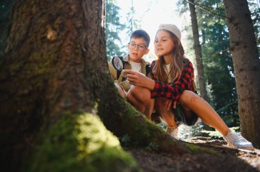 Çocuklar yaz kampını seviyor, doğayı keşfediyor, büyüteçle ağaç kabuklarını güneşli ormanlarda inceliyor.