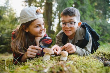 İki genç turist orman zemininde uzanmış, yürüyüş sırasında bir büyüteçle mantarları inceliyorlar.