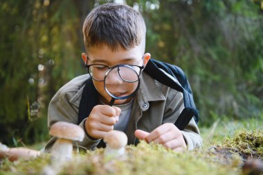 Doğayı keşfeden meraklı çocuk yemyeşil bir ormanda yürüyüş yaparken büyüteçle mantarları gözlemliyor.