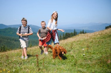 Bir grup çocuk, tüylü arkadaşlarıyla dağlarda yaz yürüyüşünün tadını çıkarıyor, doğanın güzelliğini keşfediyorlar.