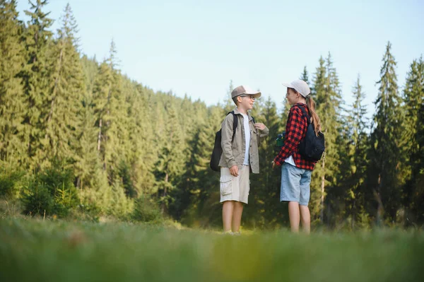 İki genç izci güneşli bir günde yemyeşil bir ormanda yürüyüş yapıyor, sırt çantaları taşıyor ve sohbet ediyorlar.