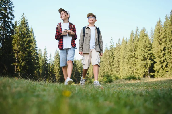 Canlı yeşil bir ormanda yürüyüş yapan iki genç izci macera dolu keyifli bir yaz gününde güneşin tadını çıkarıyorlar.
