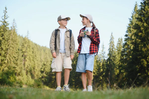 İki genç izci yemyeşil bir ormanda yürüyüş yapıyor, vahşi hayatı izliyor ve konuşuyorlar.
