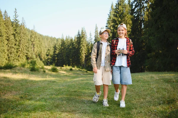 Ormanın yakınındaki bir çayırda yürüyen genç yürüyüşçüler dürbünle doğayı izliyorlar, yaz kampı tatillerinin tadını çıkarıyorlar.