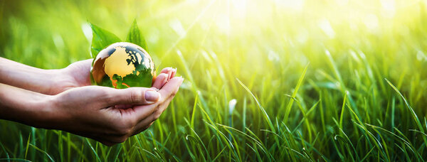 Зеленая планета в твоих руках. Концепция окружающей среды
