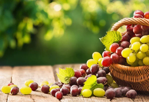 Druiven in een mand op een houten achtergrond — Stockfoto