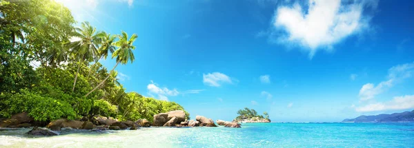 Ilhas Seicheles. Palm Beach Em Tropical Paradise — Fotografia de Stock