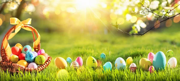 Huevos de Pascua en una cesta sobre hierba verde Fondo soleado — Foto de Stock