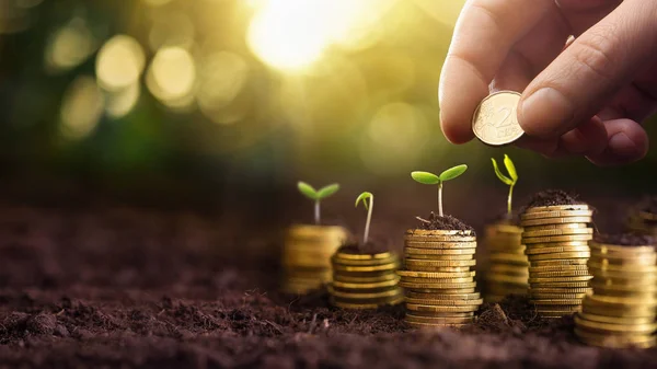 Investeringen Concept. Plant groeit In besparingen munten geld — Stockfoto