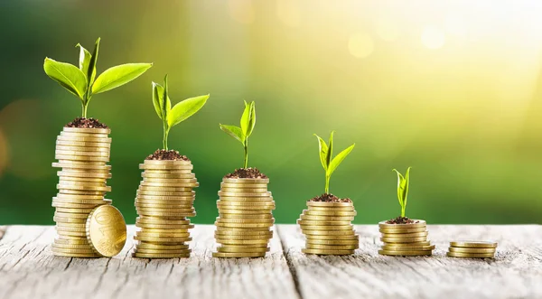 Start investering av pengar och ekonomisk tillväxt — Stockfoto