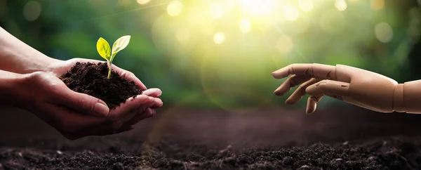 Salvar la Tierra. Planeta Verde en tus manos. Concepto de medio ambiente —  Fotos de Stock