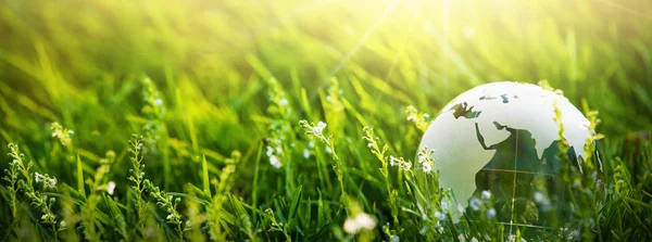 Conceito de Planeta Verde para Meio Ambiente — Fotografia de Stock