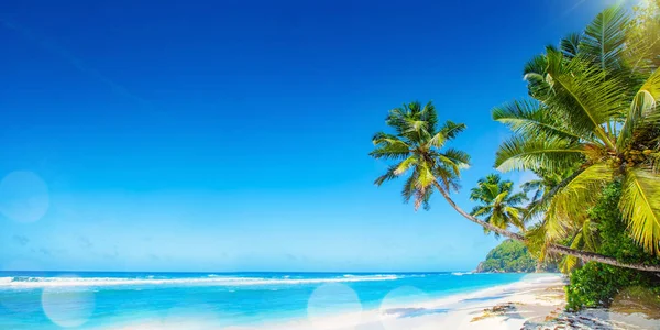 Palmenstrand im tropischen Paradies — Stockfoto