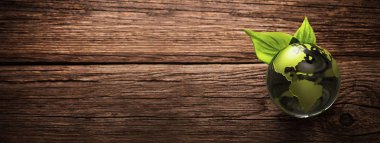 Yeşil Gezegen Çevre Ekolojisi Kavramı