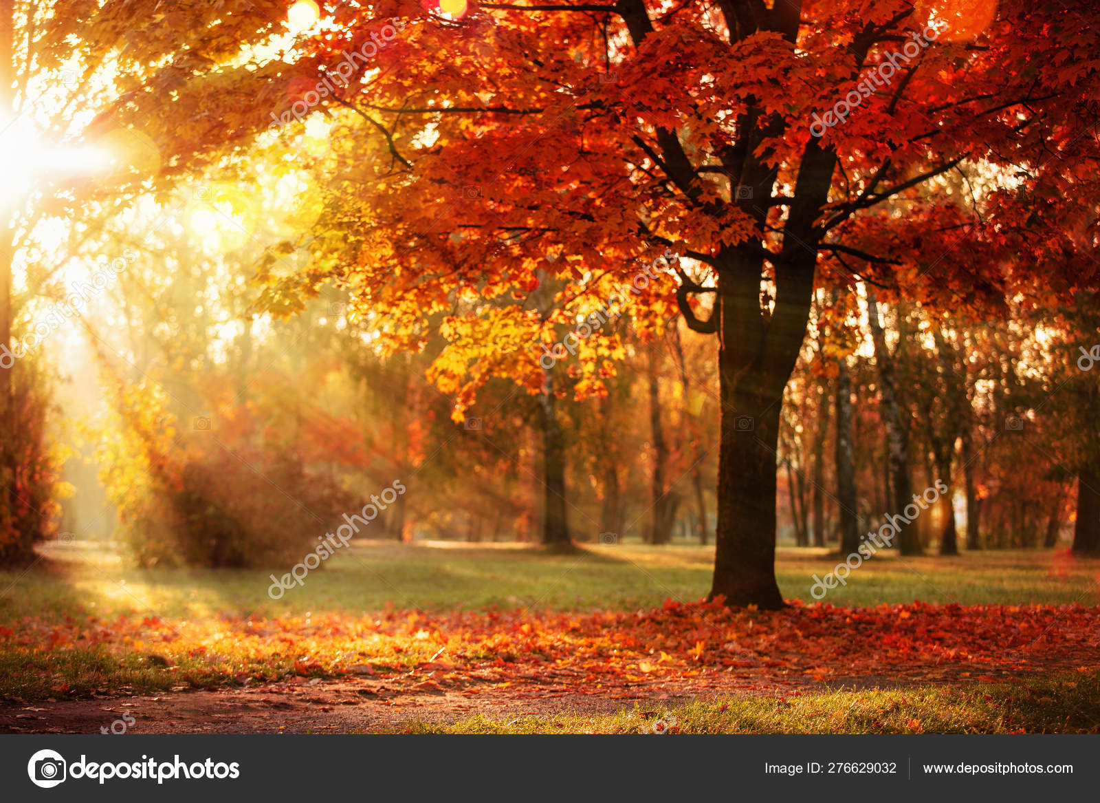Autumn landscape pictures