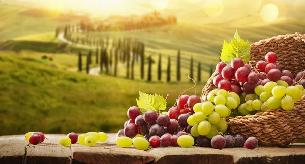 Druiven in een mand op een houten achtergrond — Stockfoto