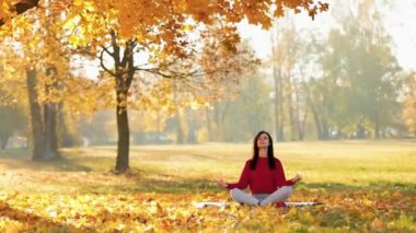 Yoga Woman Sonbahar Parkı Meditasyon