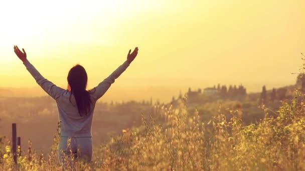 Mulher desfrutando do pôr do sol e da natureza. Conceito de liberdade — Vídeo de Stock