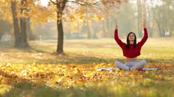 Yoga Woman Meditating In Autumn Park — Stock Video