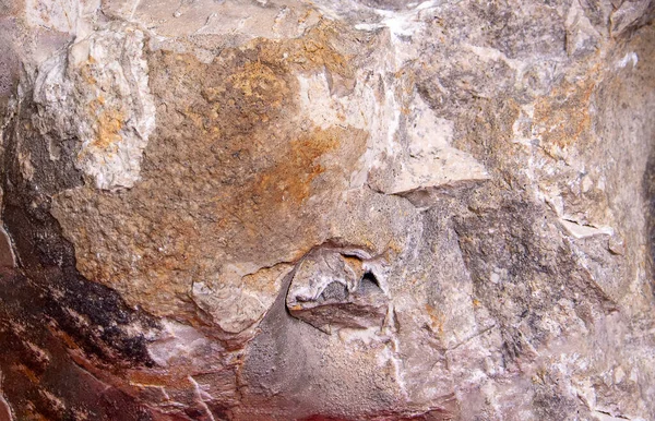 Steinstruktur Mit Elementen Von Ammoniten Ausgestorbenen Kopffüßern Steine Des Reliquienberges — Stockfoto