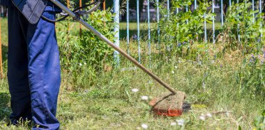 Bir iskan işçisi (çim biçme makinesi) çimleri uzun otları biçmek için gaz makası ile biçer..