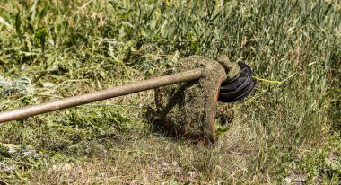 Çimleri biçmek için boş bir gaz budayıcı biçilmiş ve büyüyen yeşil çimenlerin arka planında yatıyor.