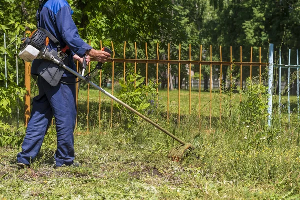 Pracownik Mieszkaniowy Kosiarka Kosi Trawnik Przycinarką Gazów Celu Zbioru Wysokiej — Zdjęcie stockowe