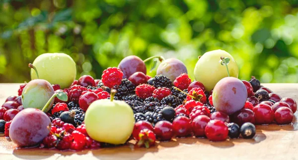 Olgun böğürtlen böğürtlen, kırmızı kiraz, ahududu, kara frenk üzümü, elma ve erik ağaçları soyut yeşil bir arka planda uzanır.