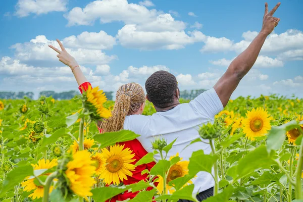 A young couple in love stands in the middle of a field of sunflowers with their backs to the camera, look into the distance and show a victory sign with their hands
