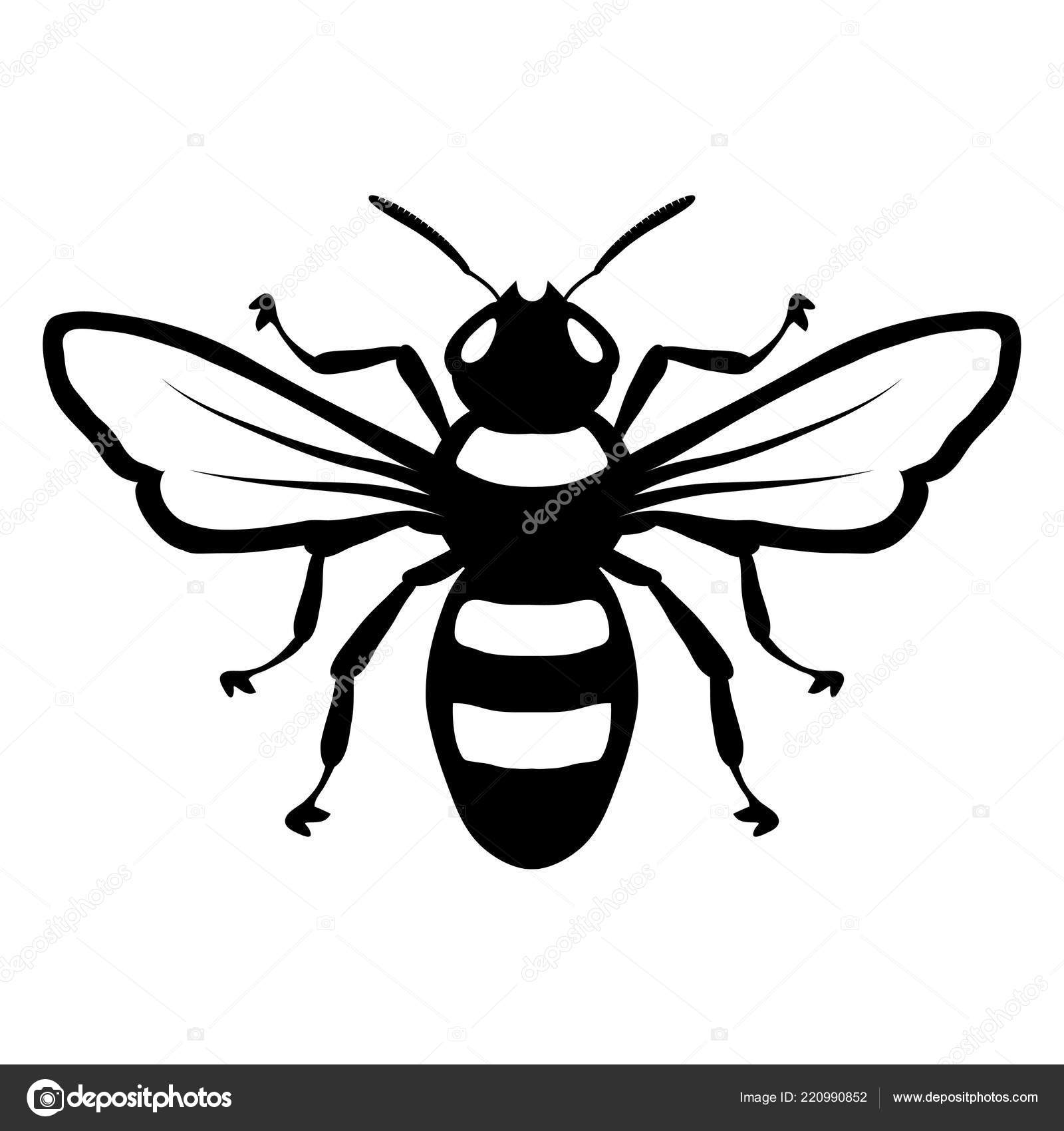 Drawn Bee Logo Bee Logo Honey Bee White Background Hand Drawn