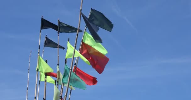 在港口钓鱼五颜六色的浮标旗 — 图库视频影像