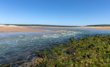 Payre Haliç (Talmont-Saint-Hilaire, Fransa üzerinde güçlü akım)