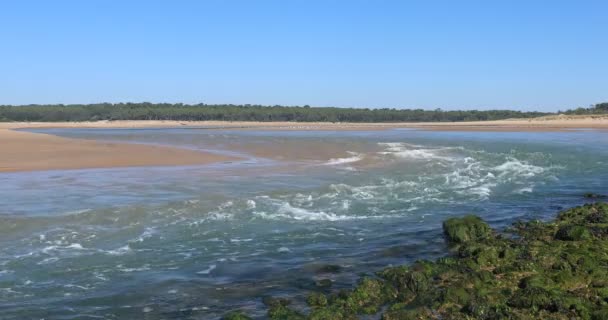 帕雷河口的强劲水流 法国塔尔蒙特 圣希莱尔 — 图库视频影像