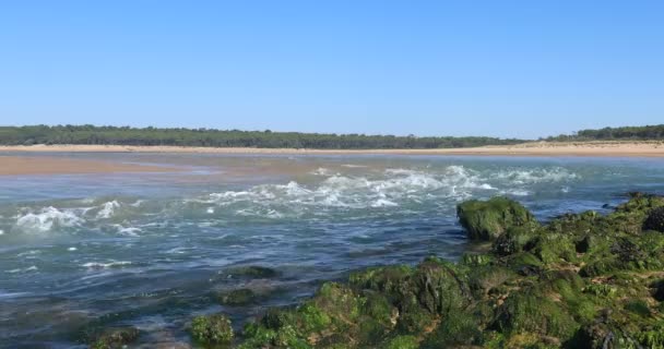 Strong Current Payre Estuary Talmont Saint Hilaire France — Stock Video