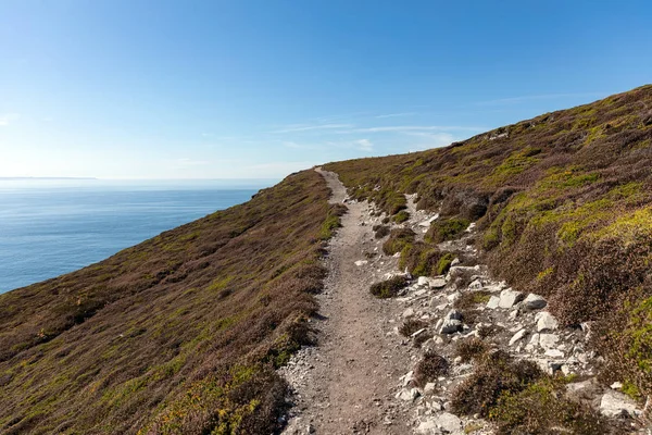 Sentier Côtier Cap Chevre Sur Péninsule Crozon Finistère France — Photo