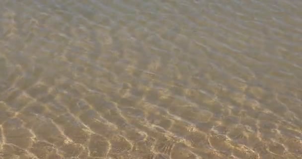 干潮時の浜辺の波形成 — ストック動画