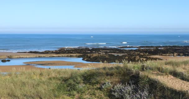 Pláž Paracou Nízkým Přílivem Les Sables Olonne Vendee — Stock video