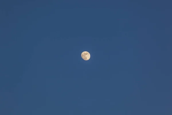 Kış gökte ay — Stok fotoğraf