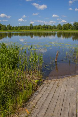 a small wooden pier on summer river