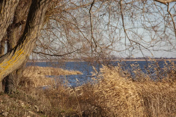 Outono Lago Shore Fundo — Fotografia de Stock