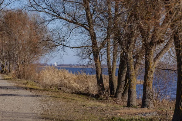 Outono Lago Shore Fundo — Fotografia de Stock