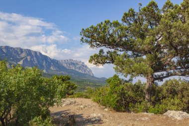 Çam ve sahil dağları güzel havalarda