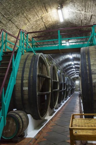 Büyük şarap fıçıları olan bir mahzen.