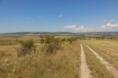 Tepedeki güney otlaklarından geçen yol.