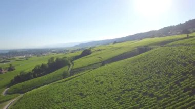 Lozan ve Cenevre, İsviçre - Uhd arasında bağ alanlarının 4 yetersiz k hava görüntüleri